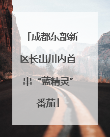 成都东部新区长出川内首串“蓝精灵”番茄